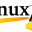 Инструкция как можно узнать дату установки Linux